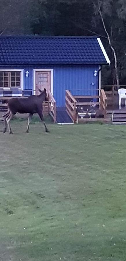 Willa Lussebo 9 Lidköping Zewnętrze zdjęcie
